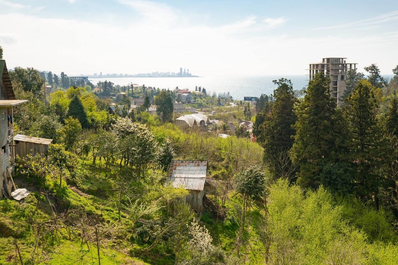 Sunny Hotel Batumi 마킨자우리 외부 사진